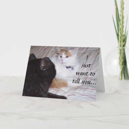 CARTE VOUS VOULEZ VOUS DIRE QUE JE VOUS AIME (Devant)