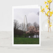 Carte Voûte de St Louis (Fleur jaune)