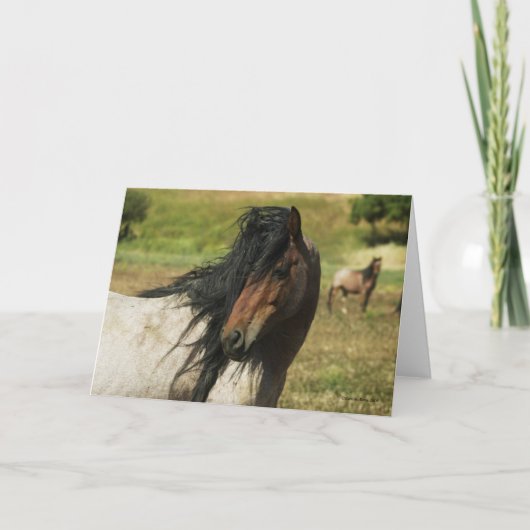 Carte Voyez la beauté (Devant)