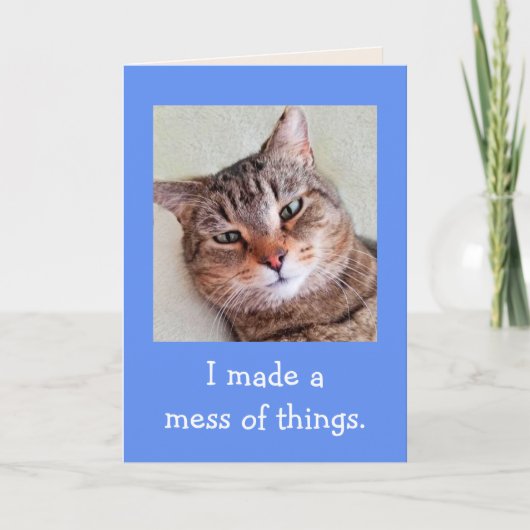 Carte Vraiment Désolé les excuses de chats mignons (Devant)