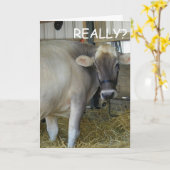 CARTE VRAIMENT ? RESTEZ BIEN VITE ! (Fleur jaune)