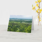 Carte Vue aérienne de la forêt de Black River State (Fleur jaune)