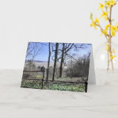 Carte Vue Baie Morecambe (Fleur jaune)