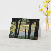 Carte Vue de la rivière Maitland (Fleur jaune)