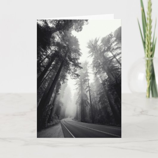 Carte Vue des arbres de séquoia dans la forêt (Devant)
