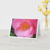 Carte Vue latérale de la camelote douce rose (Fleur jaune)