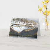 CARTE VUES DE WALES TALYLLYN (Fleur jaune)