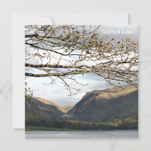 CARTE VUES DES ALLES (Devant)