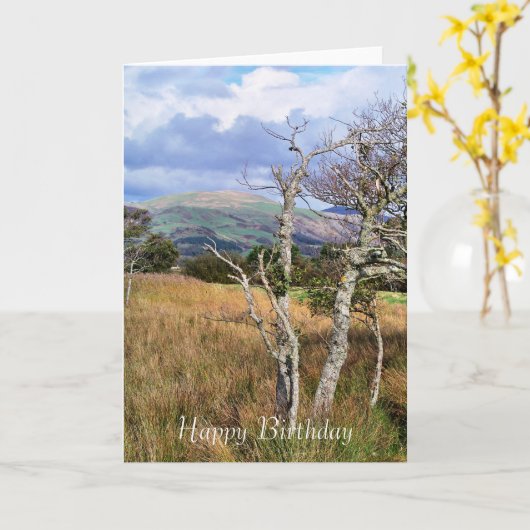 CARTE VUES DES ALLES (Fleur jaune)