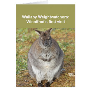 Carte Wallaby