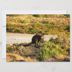 Carte Wallaby sur le Riverside