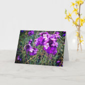 Carte Wallflower Bowles Mauve #1 (Fleur jaune)