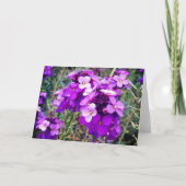 Carte Wallflower Bowles Mauve #1-2 (Devant)