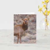 Carte Wapiti Lady - 4" x 5.6" Notecard (Fleur jaune)