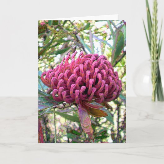 Carte waratah (Devant)