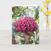Carte waratah (Fleur jaune)