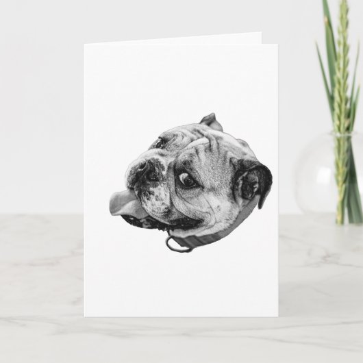 Carte Warm Grin Card (Devant)