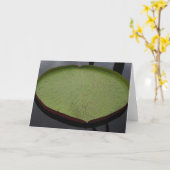 Carte Water Lilly Leaf Note Card (Fleur jaune)