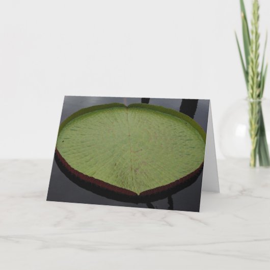 Carte Water Lilly Leaf Note Card (Devant)