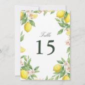 Carte Watercolor Wreath Mediterranean Citrus Wedding (Dos)