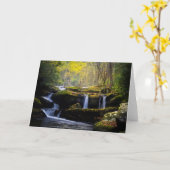 Carte Waterfalls | Great Smoky Mountain National Park (Fleur jaune)