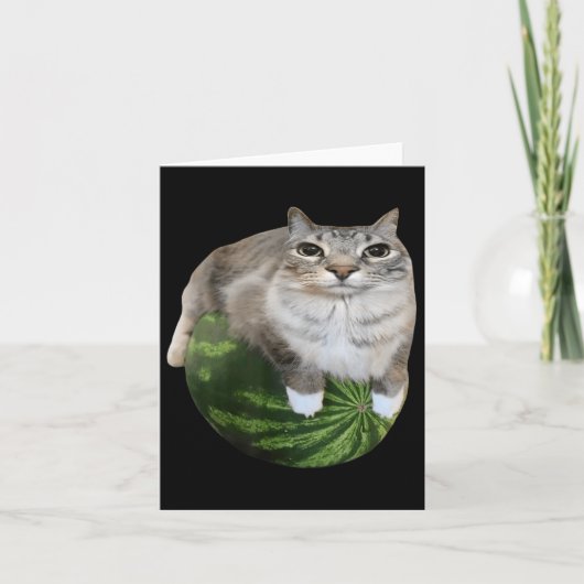 Carte Watermelon Cat Silly Cat Meme (Devant)