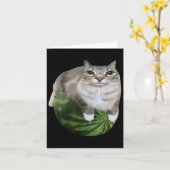 Carte Watermelon Cat Silly Cat Meme (Fleur jaune)