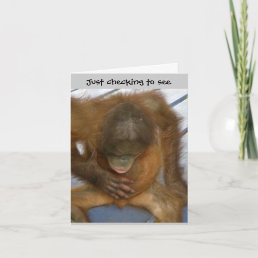 Carte Wazzup Funny Bonjour aux amis (Devant)