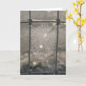Carte Web Spider (Fleur jaune)