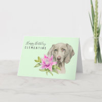 Weimaraner Chien Aquarelle Anniversaire