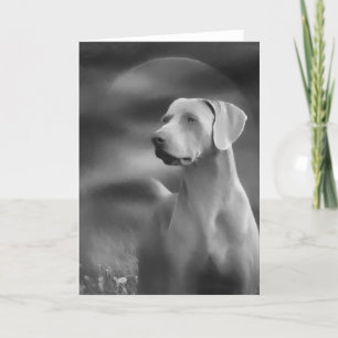 Carte Weimaraner Greeting Card