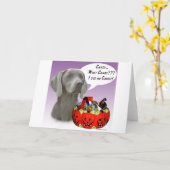 Carte Weimaraner Halloween Candy (Fleur jaune)