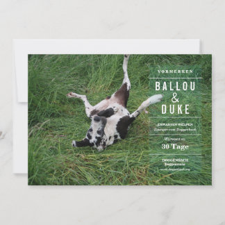 Carte Welpen Ankündigung