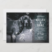 Carte Welpen Ankündigung (Devant)