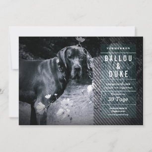 Carte Welpen Ankündigung