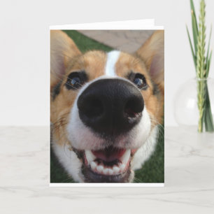 Carte Welsh Corgi Dog Nose Collection