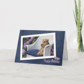 Carte Welsh Terrier (Devant)