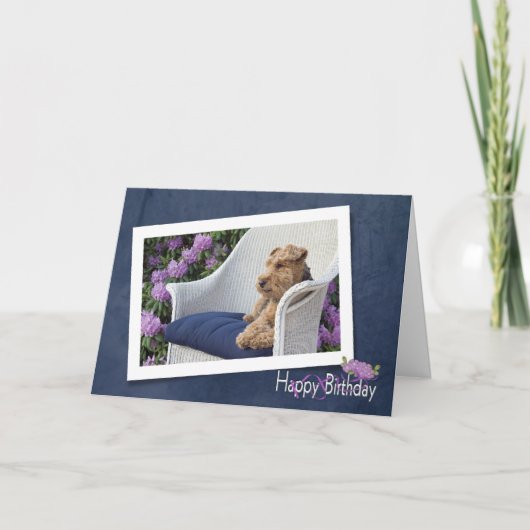 Carte Welsh Terrier (Devant)