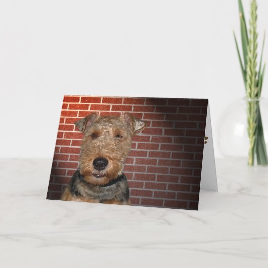 Carte Welsh Terrier (Devant)