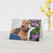 Carte Welsh Terrier Anniversaire (Fleur jaune)
