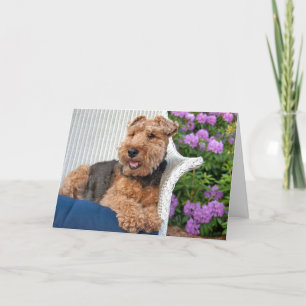 Carte Welsh Terrier Anniversaire