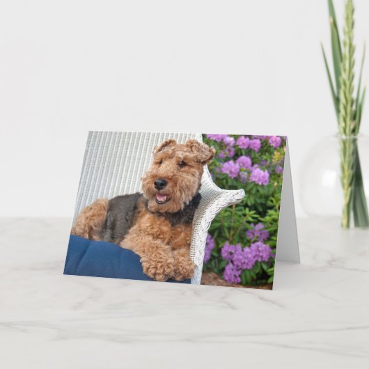 Carte Welsh Terrier Anniversaire (Devant)