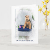 Carte Welsh Terrier dans la chaise devenant vieux (Fleur jaune)