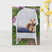 Carte Welsh Terrier dans le jardin (Fleur jaune)