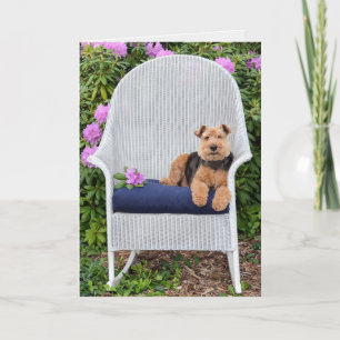 Carte Welsh Terrier dans le jardin