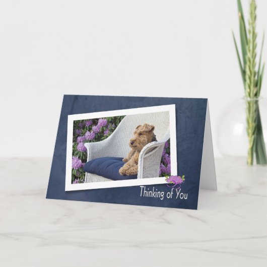 Carte Welsh Terrier pense à vous (Devant)