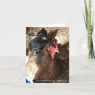 Carte WelSummer Hen avec Maran Chicks