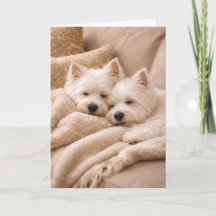 West Highland Terrier Valentine Card – Cozy Westie