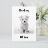 Carte west highland white terrier chiot assis pensée (Debout devant)