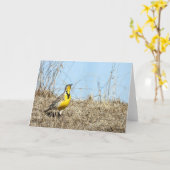 Carte Western Meadow Lark (Fleur jaune)